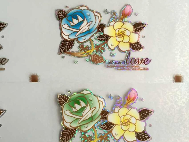 愛普生l850打印機(jī)能不能熱轉(zhuǎn)印？